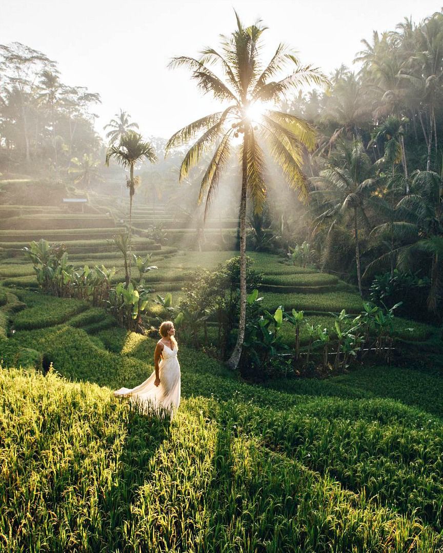 Tegalalang Rice Terrace