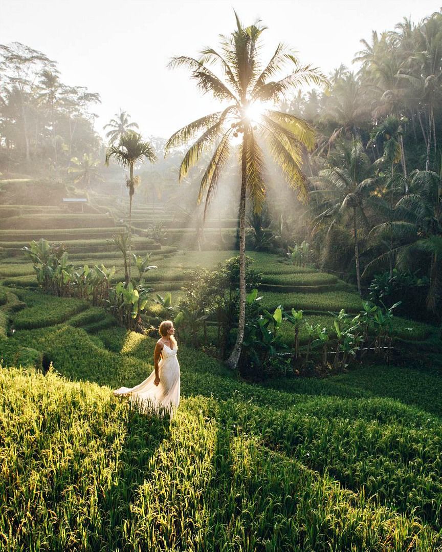 Bali instagram Spots Tegalalang Rice Terrace