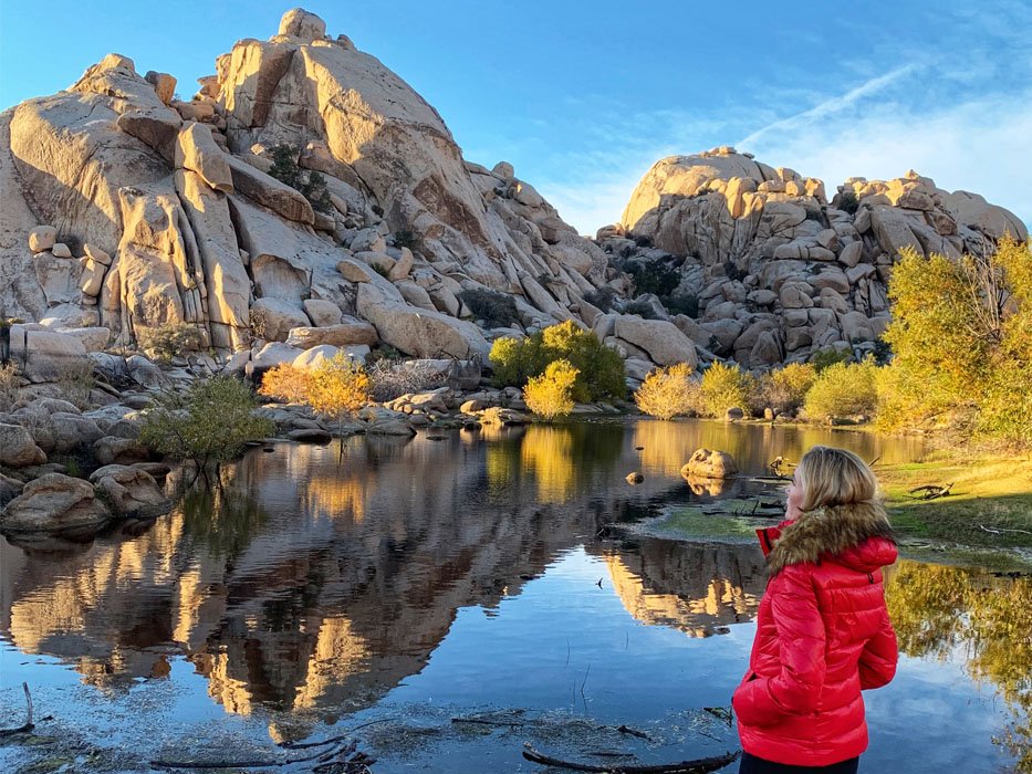 Joshua Tree Weekend USA National Park