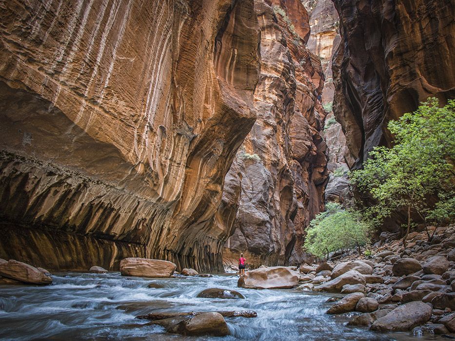 USA Bucket List Trip Ideas Zion National Park