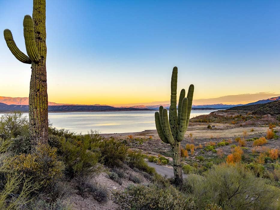 Saguaro National Park