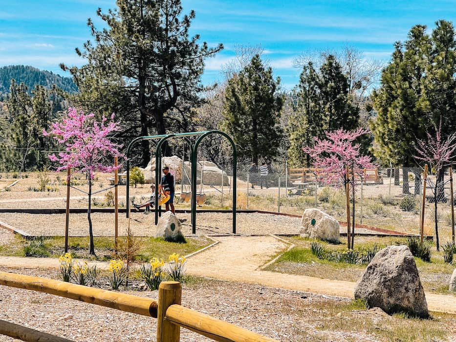 McCay Park Lake Arrowhead