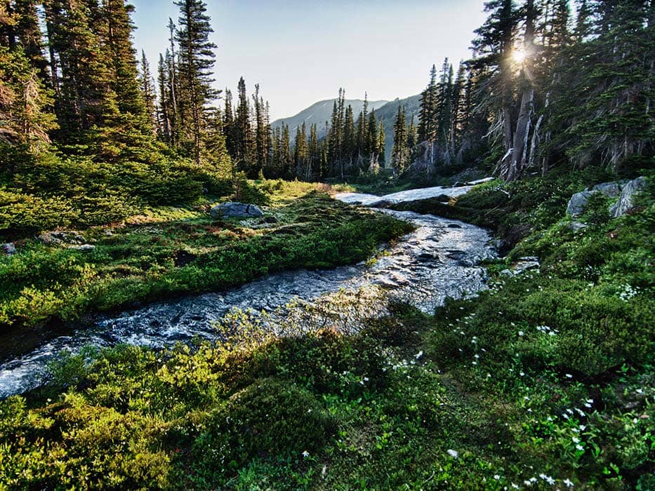 Olympic National Park