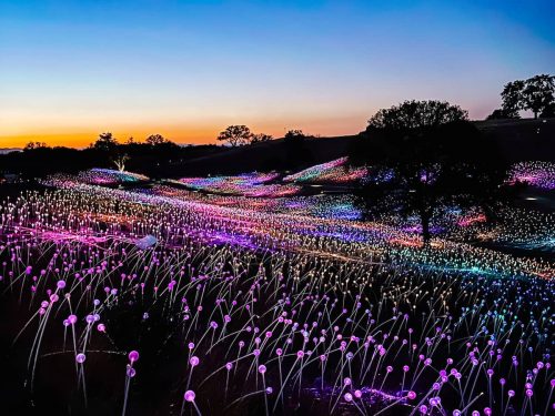 California in December: 15 Festive Places to Visit in California