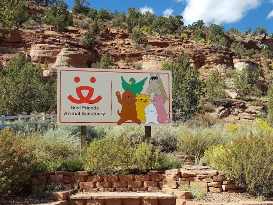 Best Friend's Animal Sanctuary