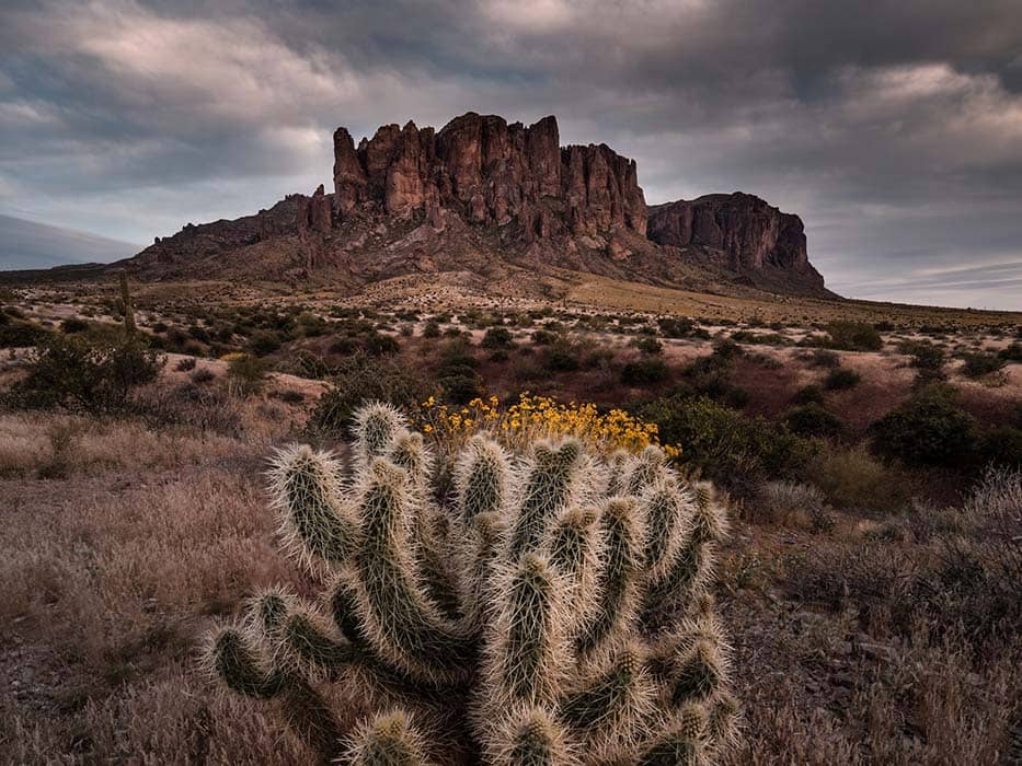 Tonto National Forest