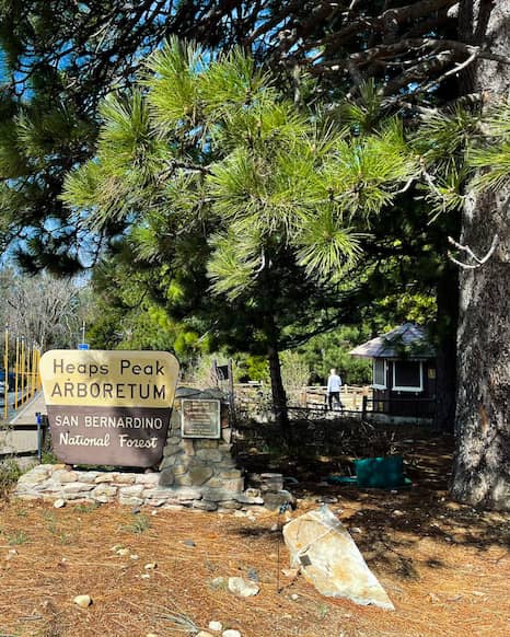 Heaps Peak Arboretum Lake Arrowhead things to do