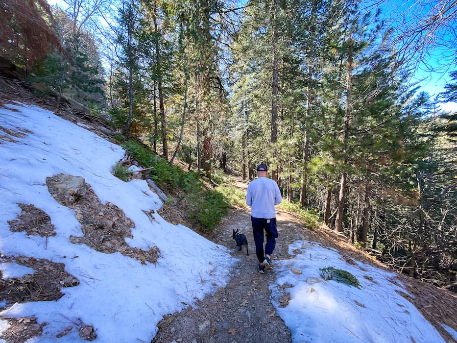Will Abell Memorial Trail Lake Arrowhead Hiking